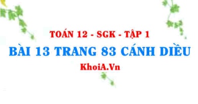 Bài 13 trang 83 Toán 12 tập 1 Cánh Diều